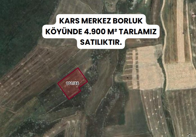 KARS MERKEZ BORLUK  KÖYÜNDE  4.900  M² TARLA SATILIKTIR - KARS MERKEZ fotoğraf 7